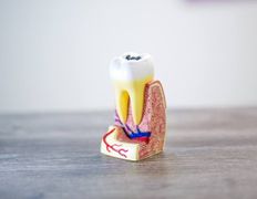 Стоматология Триомед, Галерея - фото 8