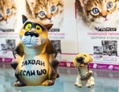 Ветклиника МогВетЛига, Галерея - фото 16