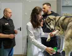 Ветклиника Ветеринарный импульс, Галерея - фото 14