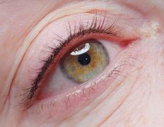 Студия красоты Valeria Studio (Валерия Студия), Перманентный макияж глаз - фото 5