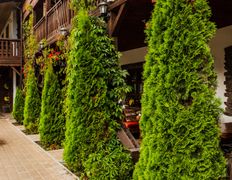 Ресторан армянской кухни Оазис, Интерьер - фото 5