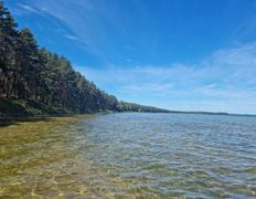 Оздоровительный комплекс Чайка, Территория - фото 18