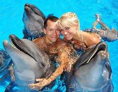 null Минский дельфинарий, Галерея - фото 20