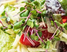 Кафе Blackberry (Блэкберри), Кейтеринг - фото 2