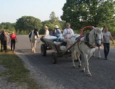 Центр верховой езды Двор Старинки, Походы - фото 16