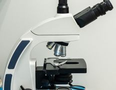 Ветеринарная клиника Дарис Вет, Галерея - фото 10