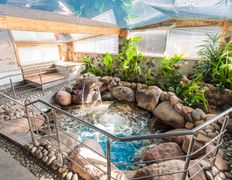 Вилла Ласточкино гнездо, SPA-комплекс - фото 1