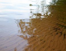 Озеро Свитязь, Озеро - фото 2