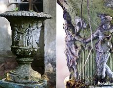 Дворцово-парковый комплекс Совейки, Комплекс - фото 5