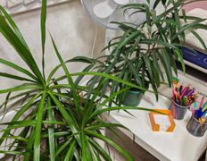 Центр психологической поддержки Крылья Мечты, Галерея - фото 14