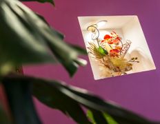 Кафе Соломинка, Малый зал - фото 11