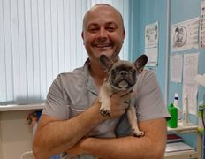 Ветеринарная клиника ВетСпектр, Наши пациенты - фото 4