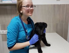 null Ветеринарный центр доктора Базылевского А.А. Филиал «Могилев», Галерея - фото 7