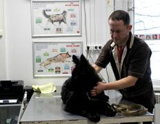 Ветклиника Эвия Верум, Галерея - фото 19