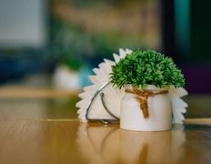 Кафе-караоке Мирта, Интерьер - фото 4