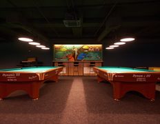 Бар-бильярд Арена, Интерьер - фото 13