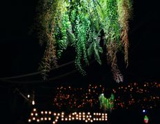 Пространство Джуманджи, Интерьер - фото 6