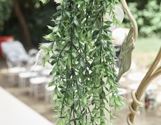 Кафе-банкетные залы Ребус, Выездная регистрация на площадке возле «Ребуса» - фото 14