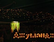 Пространство Джуманджи, Интерьер - фото 12