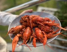 Ресторан выездного обслуживания Cater event (КейтерингИвэнт), Блюда - фото 1