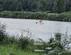 База отдыха Елки иголки, Территория - фото 4
