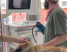 null Ветеринарный центр доктора Базылевского А.А. Филиал «Минск 24/7», Галерея - фото 20