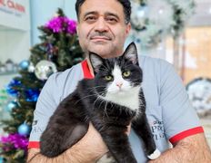 Ветеринарная клиника ВетЗооЦентр, ВетЗооЦентр - фото 8