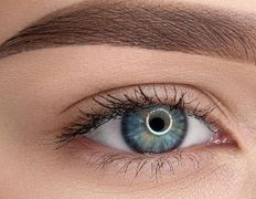 Салон красоты Лерэн Стиль, Брови / Ресницы - фото 6