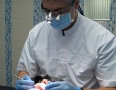 Стоматология Артстоматология, Галерея - фото 12