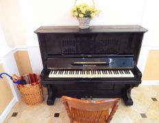 Агроусадьба Каралінскі Фальварак Тызенгаўза, Родовое гнездо - фото 5