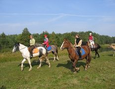 Центр верховой езды Двор Старинки, Прокат - фото 13
