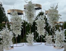 Вилла Gatsby Hall (Гэтсби Холл), Территория - фото 16