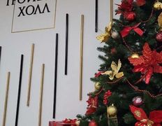 Банкетный комплекс Троицкий Холл, Новый год 2026 - фото 7