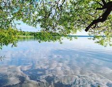 Оздоровительный комплекс Чайка, Территория - фото 14