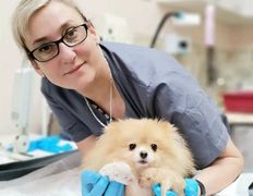 Ветклиника МогВетЛига, Галерея - фото 7