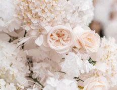 Агроусадьба  Belladzhio VIP Minsk (Белладжио ВИП Минск), Территория - фото 4