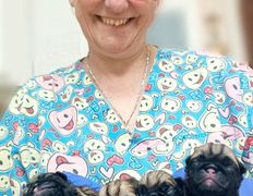 Ветклиника МогВетЛига, МогВетЛига - фото 7