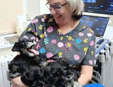 Ветклиника МогВетЛига, Галерея - фото 5