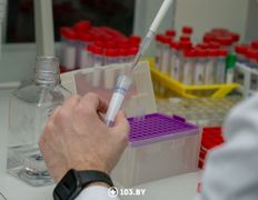 null Республиканский научно-практический центр детской онкологии, гематологии и иммунологии, Лаборатория генетических биотехнологий - фото 5