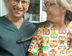 Ветклиника МогВетЛига, МогВетЛига - фото 2