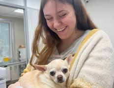 Ветклиника Айдавет, Наши пациенты - фото 3