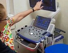 Ветклиника МогВетЛига, МогВетЛига - фото 3