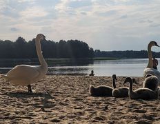 Комплекс отдыха Парк Relax (Парк Релакс), Пляж, территория - фото 20