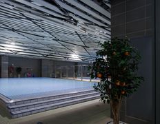 Спортивно-оздоровительный комплекс РЦОП по водным видам спорта, Бассейн - фото 19
