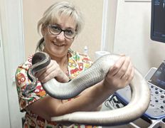 Ветклиника МогВетЛига, МогВетЛига - фото 1