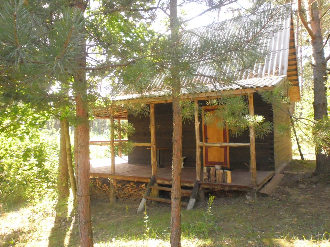 Агроусадьба Сельский дом с баней  «Обидуха» - фото 2853295