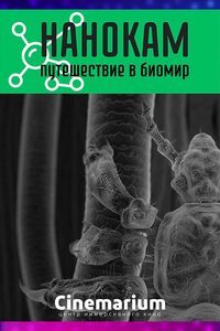 Иммерсивный фильм «Нанокам. Путешествие в биомир»