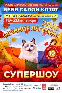 Беби Салон Котят — 2026! «Осенние Легенды»