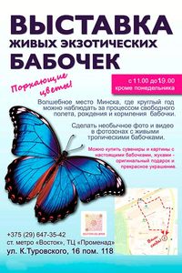 Выставка живых экзотических бабочек «Порхающие цветы»