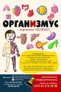 Интерактивная выставка о теле человека «Организмус»